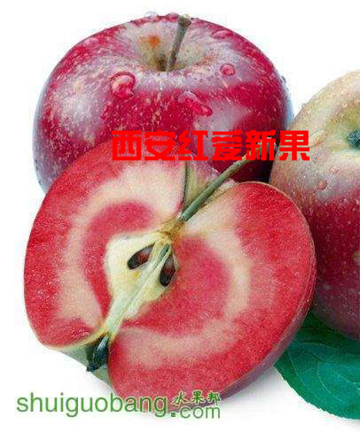 ƻĿڸأ