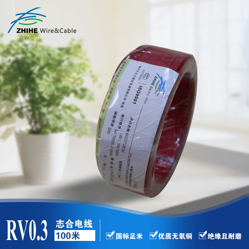 RV0.3ƽ괿ͭо170.12 