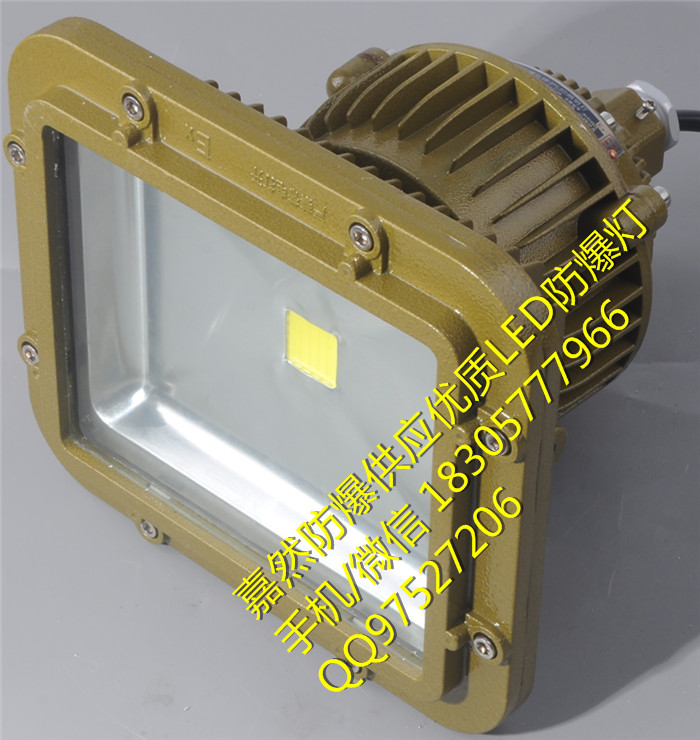 CCd97-T70wled防投光灯,60wled防泛光灯