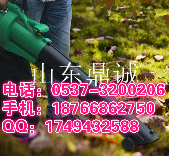 3kw綯һ ЯʽҶҶ ·Ҷɨ