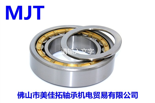    SKF  ԲNU204ECP