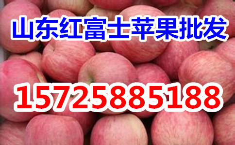 ɽ츻ʿƻ ƻֱӦ