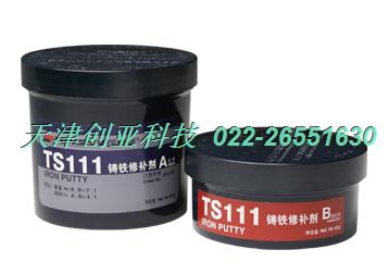 ɽTS111޲