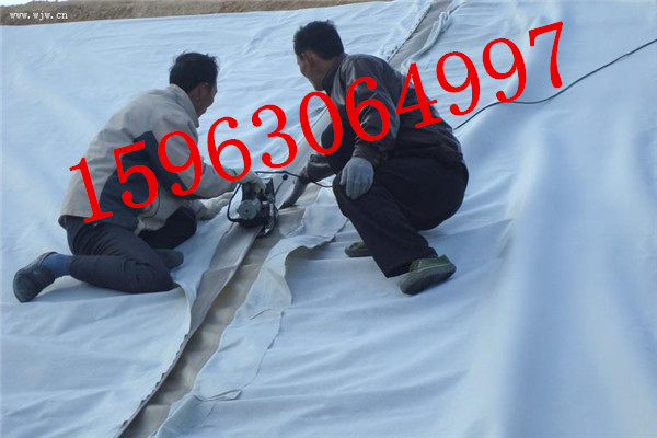 Ĥƽ300g/m2  2800g/m2Ĥ