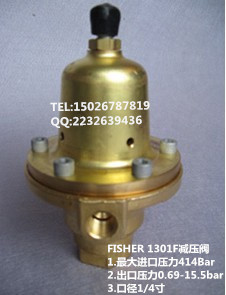 FISHERϣ1301F