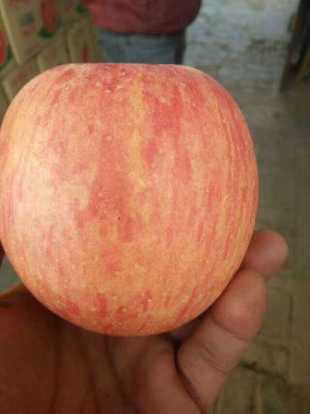 ֽ츻ʿƻֽ츻ʿƻ۸