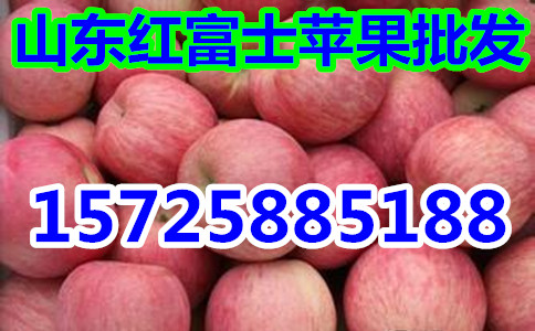 ɽ츻ʿƻعũֱ۸г
