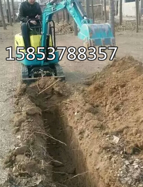 12ĺƺСھ ΢ھ 