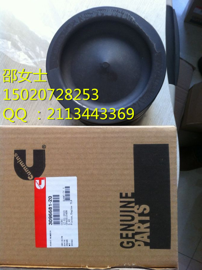 ֻ QSK19 4090029/4918058