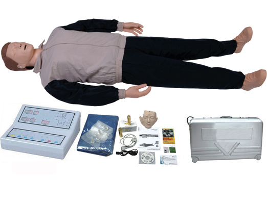 CPR300 ȫԶķθģ