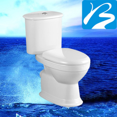 ѷԡ-ֱʽ-BS205