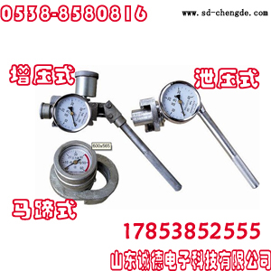 SY-60ѹʽ