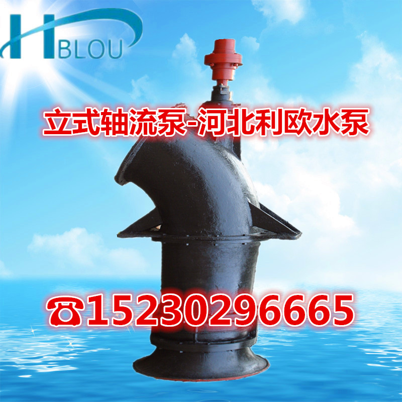 500ZLB-100ʽũŹˮôٱֳˮ