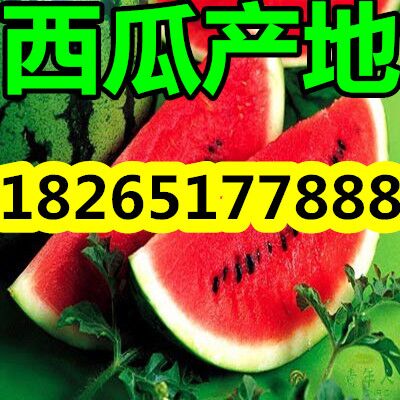 㽭¼۸