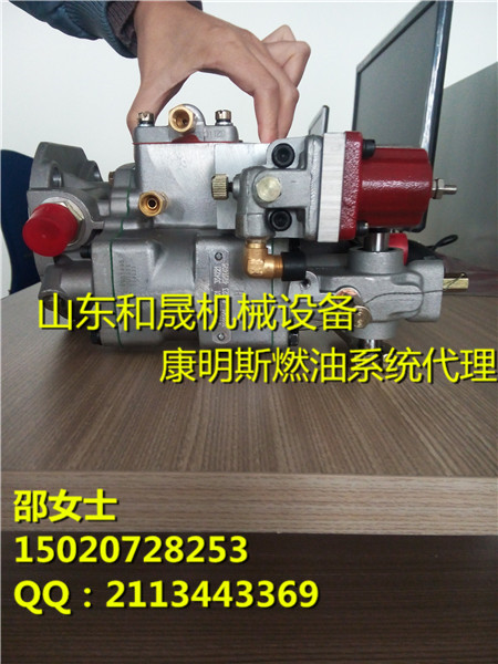 24Vȼͱõŷ3903576{B3.3}