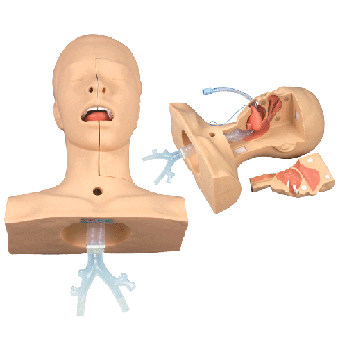 ̵ϰģ,̵ѵģ