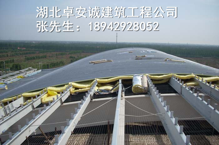 yx65-430þ̽幩Ӧ㶫