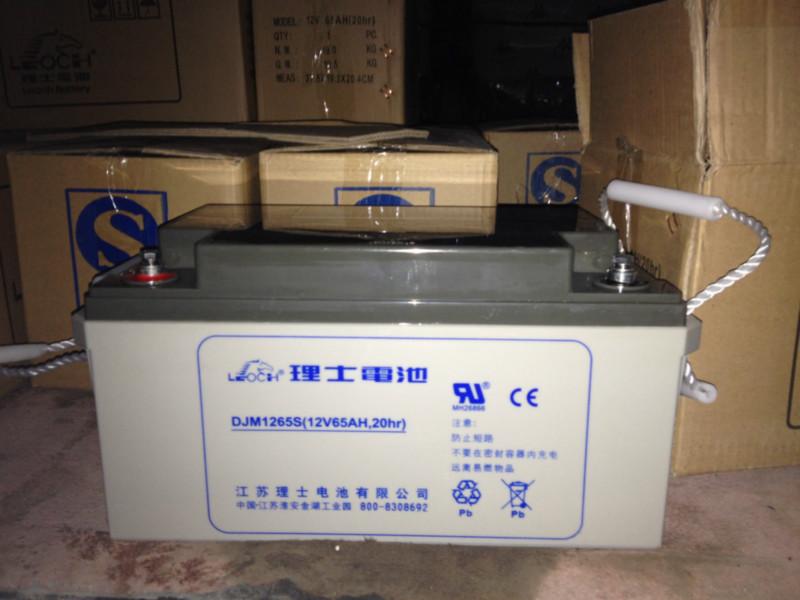 LEOCH DJW12-24ʿ12V24AH 