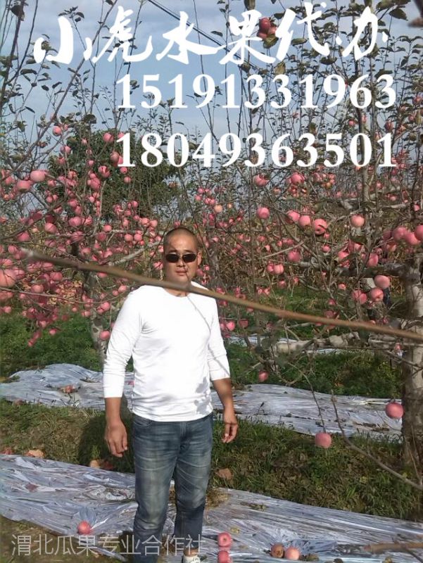 츻ʿƻؼ۸񣬺츻ʿƻؼ۸