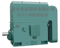 ӱ2200kw380vYKKϵ͸ѹ첽10KV