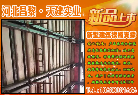 _ǽģ֧ŷֹģ©콨