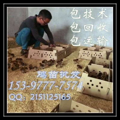 Թ磻Թ繫˾͵