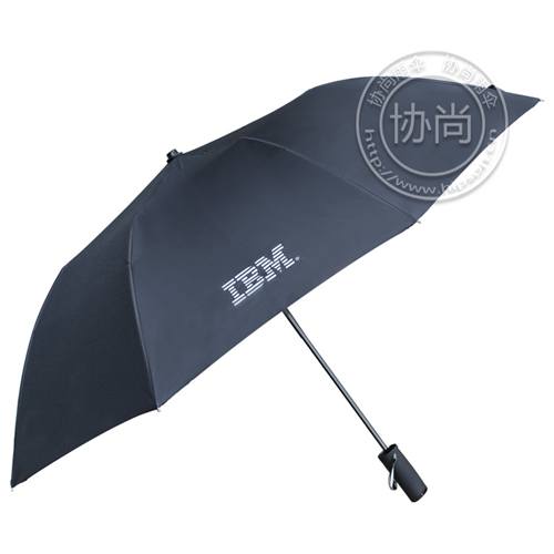 IBMԶɡ ɹ