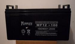  12V100AHups˹г۸