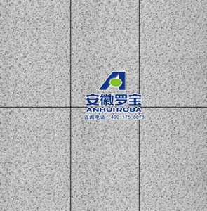 װһ廯ROBAװһ廯