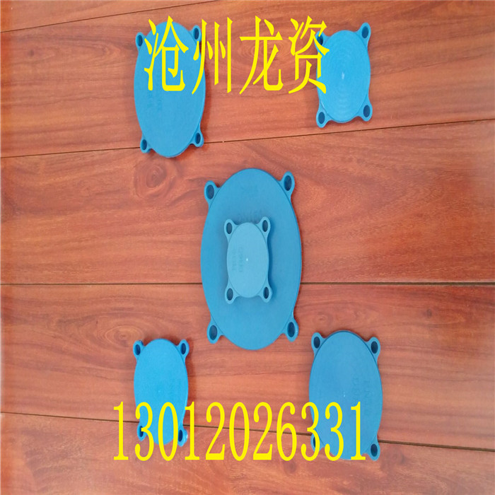 ϸʼ DN250ǳһֻԴ