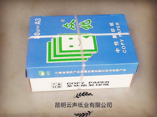 80g/A3ӡֽ