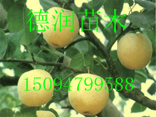   ۸
