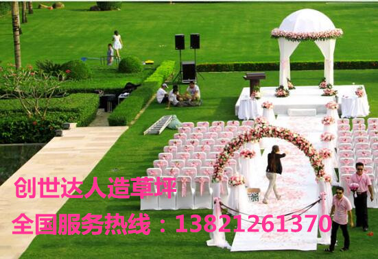 供应河南平顶山人造草坪,人造草坪价格,人造草坪足球场