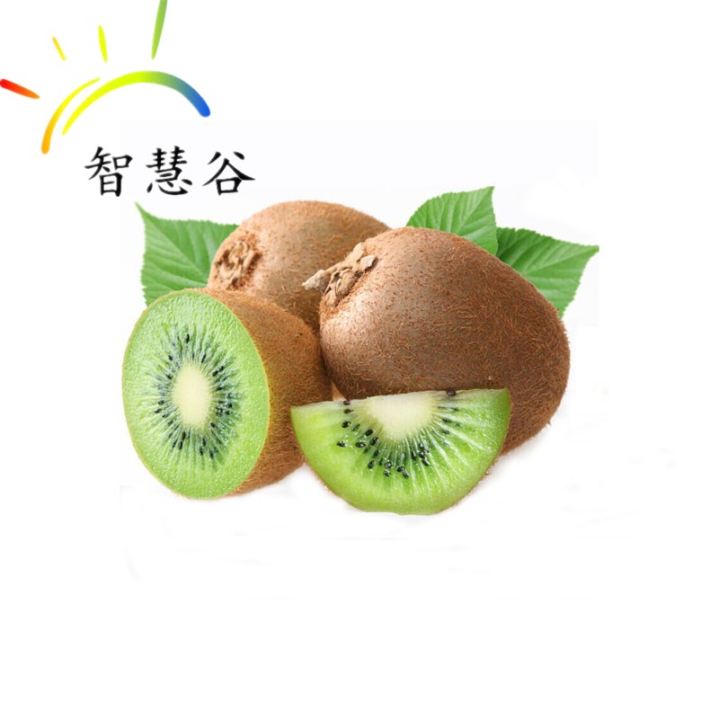 ⨺֮Ͽ⨺㺣ֵ