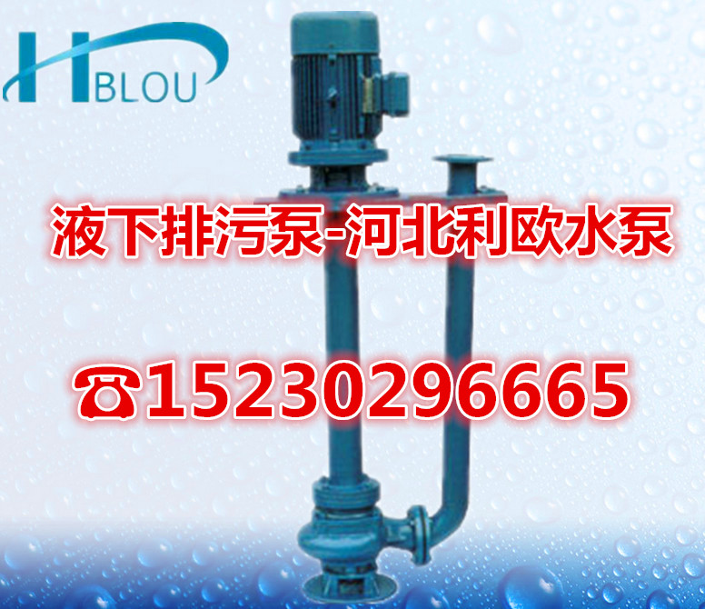 立/卧式污水泵80YW43-13-3液下排污泵潜水渣浆吸沙泵脱循环泵