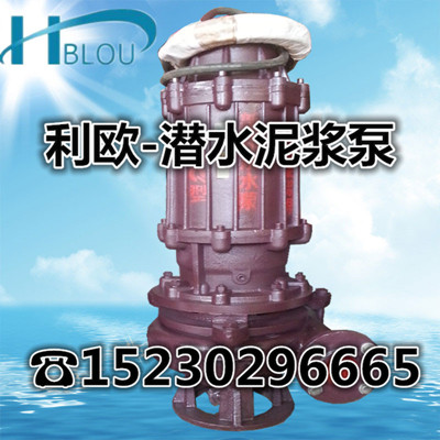 利欧4PNQ潜水泥浆泵排污泵液下搅拌污水泵渣浆泵抽粪泵渣浆泵