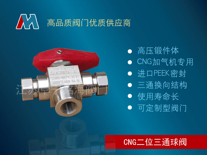 CNG-1/4SAEøѹλͨ