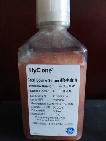 Hyclone̥ţѪѪԴ