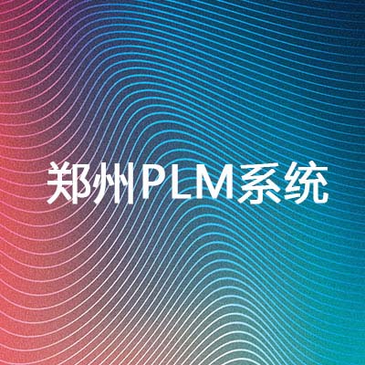 ֣PLMϵͳʵʩҪ_Ӧù