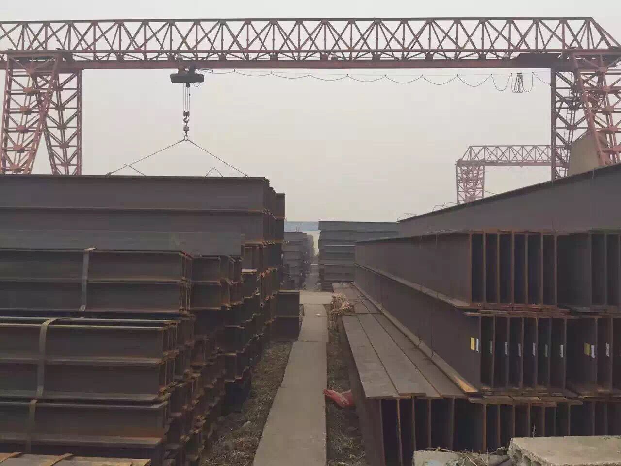 ۸ Ǹ H͸ Ƹ 