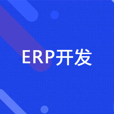 ֣ERPϵͳٿӦԲ_ERP