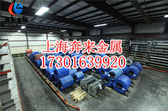 S41008S41008