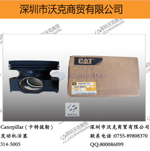 Caterpillar (ر) 314-5005 