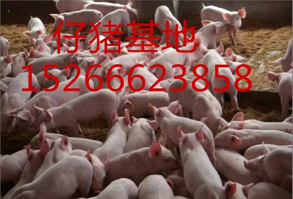 ɽӦ۸Ԫ۸