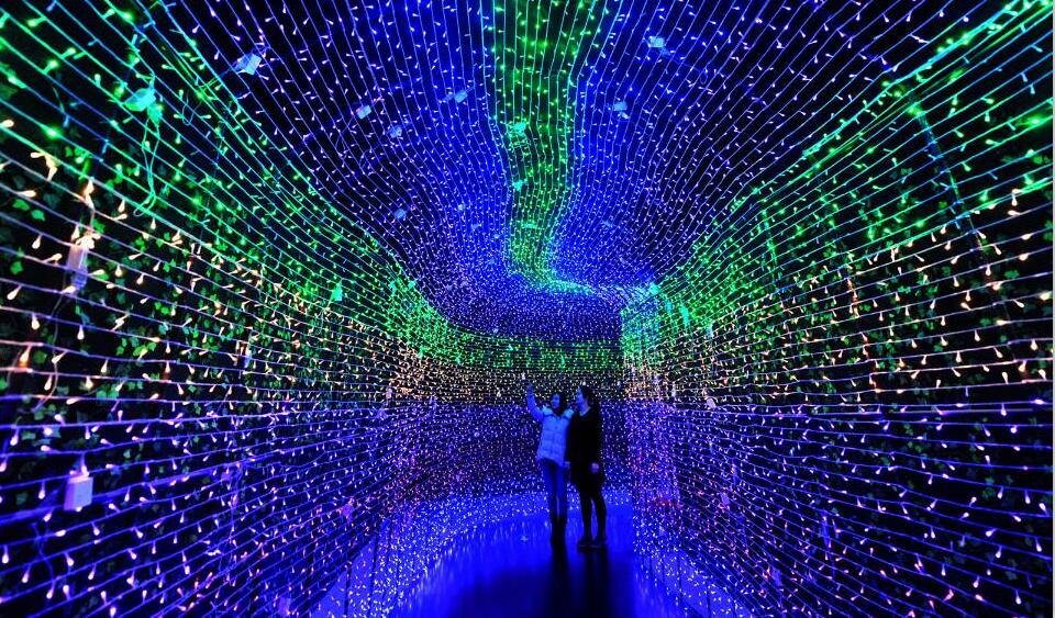 LEDʥյƴƻƺƹڵƾ