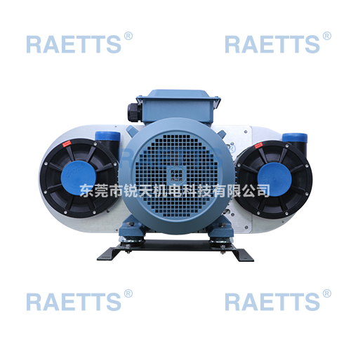 RAETTS300ĳķ