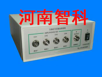 ർ¼  ʵർ¼