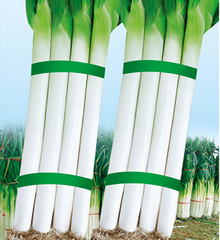 ӦӱʱũƼ޹˾ӽУӶF1