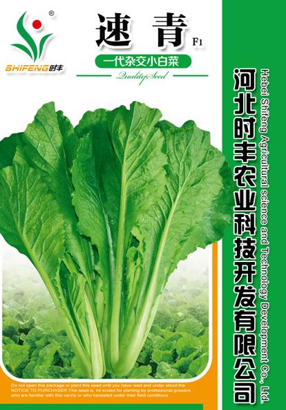 ӦӱʱũҵƼ޹˾ʱӽF1ײ