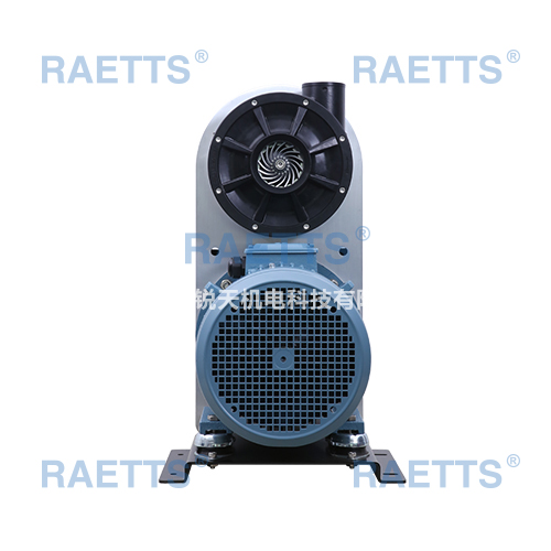 RAETTS100ĸķ